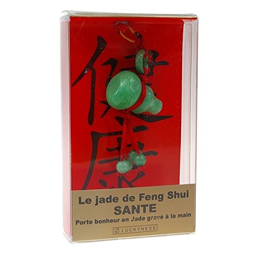 Book's Cover of Porte-bonheur feng-shui - bien-être