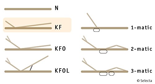 Preisvergleich Produktbild Selecta FR7 Lattenrost Kopf- u Fußteil verstellbar 140x200