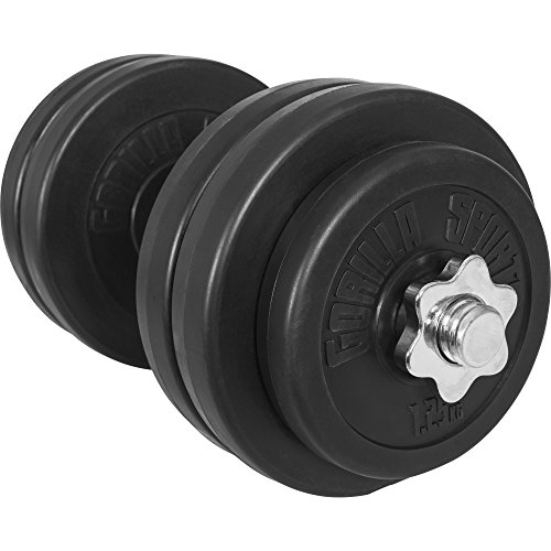 Gorilla Sports Kurzhantel-Set 30Kg (2x verchromte Hantelstange 43cm ,4x1,25 und 8x2,5Kg Hantelscheibe Kunststoff)