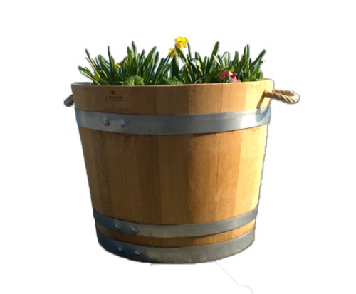 Blumentopf, Blumenkübel aus Eichen-Holz – Fass, Holzfass als Pflanzkübel – Weinfass, Bottich, Holzkübel (D30 bis D60) mit Schlaufen (D40 H35 mit Schlaufen) - 6