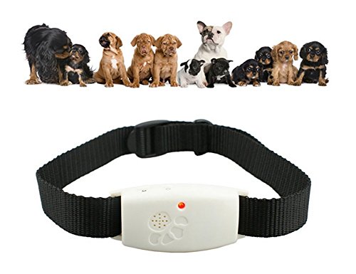 ZENDY-Repeller-Collar-High-Quality-Most-Popular-Ultrasonic-Pets-Pest