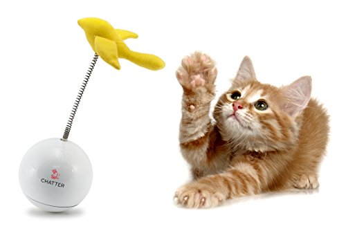 PetSafe-Frolicat