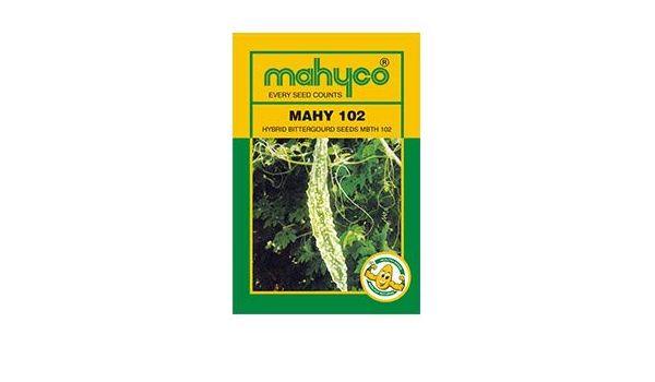 Mahyco Hybrid Bittergourd Seeds Mahy 102 50gms Amazon In Garden Outdoors Mahyco Hybrid Bittergourd Seeds Mahy 102 50gms Amazon In Garden Outdoors