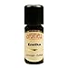 Produktbild EROTIKA esoterisches AROMAÖL (Parfümöl / Duftöl), 10 ml