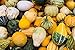 Produktbild PlenTree 11.2G Organic Small Gourd Mix Seeds Ornamental Fruit For Crafts And Decoration