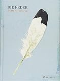 Image de Die Feder