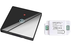 proAMEDEN Interruptor tactil de pared, panel de cristal táctil+Relé inalámbrico,10A, funciona con app Tuya/Smart Life, compatible con Alexa y Google Assistant(2/un-1GangWS+1/un Controller Black)
