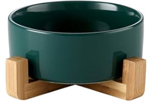 HCHLQLZ Green 6 inch Ceramic Cat Bowl with Wood Stand No Spill Pet Food Water Feeder Cats Small Dogs