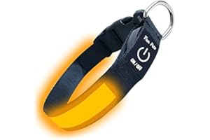 Fun Pets Collare LED per cani Arancia - Collare di sicurezza ricaricabile con USB per animali domestici - Grande visibilità e sicurezza - XS, S, M, L e XL