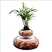 Produktbild WLWWY Levitation Jar, Stein Magnetische Schwebende Luft Bonsai Suspension Schwimm Blumentopf Topf Für Home Office Und Garten Saison Dekor Anfang Werbegeschenk (Keine Pflanze)