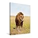 Produktbild Calvendo Premium Textil-Leinwand 60 cm x 90 cm hoch, Wer ist Hier der Chef Stolzer Löwe mit prächtiger Mähne, | Wandbild, Bild auf Keilrahmen, Fertigbild auf Reserve, Kenia, Afrika Tiere Tiere
