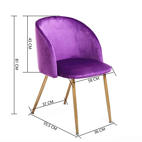 EGGREE Esszimmerstuhl Skandinavien Polstersessel Samt Retro Lounge