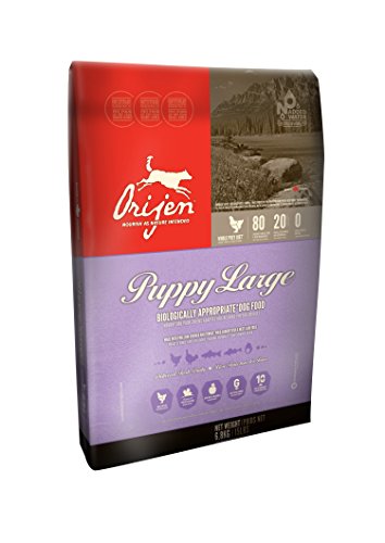 Orijen Puppy Large Dog Food 6.8kg
