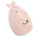 Produktbild Wärmflasche, Hase, Plüsch, Spielzeug Warme Handtaschen, multifunktional, niedliche Cartoon-Tier-Pärchen, Handwärmer für Babys, Kinder, Erwachsene, Winter, Handtasche, abnehmbar und waschbar