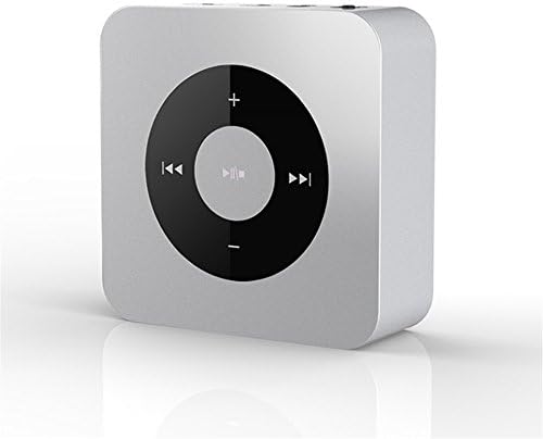 LDJIFL A Bluetooth 4.2 Speaker Portable Stereo Speaker With A Built-In Microphone For A Bass Port Suitable For A Smartphone Tablet Or Any Bluetooth Compatible Device,Silvery Speaker