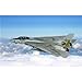 Produktbild Grumman F-14 Tomcat (38inch x 24inch / 96cm x 60cm) Silk Print Poster - Seide Plakat - EF6C08