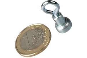 MAGNOSPHERE 10 x Aimant avec oeillet Ø 10 mm néodyme zingué - force 2 kg - 10 pièces