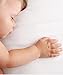 The Little Green Sheep Organic Crib Bedding Set (To fit Chicco Next2Me)