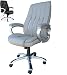 Produktbild Polironeshop Genf Stuhl Sessel berufungssystems für Büro Büro Stühle Sessel Arbeitsplatz Pfeil an Möbel-X PC Computer-Zubehör Professionelle Studio Desktop grau