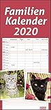 times&more Katzen Familienplaner. Wandkalender 2020. Monatskalendarium. Spiralbindung. Format 21 x 45 cm by 