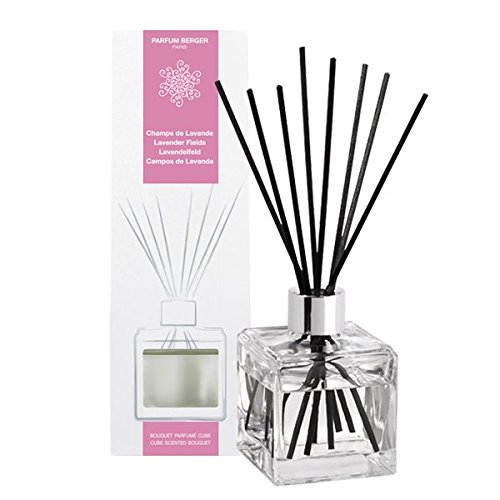Parfumbouquet Set Cube Wilder Lavendel / Champs de Lavande von Lampe Berger