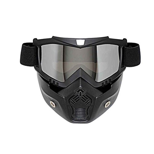 Preisvergleich Produktbild Motorrad abnehmbare Gesichtsmaske Brille Radfahren Bike Skibrille windundurchlässiges Motorrad Gesichts-Schutz Snowboard Brillen Regard