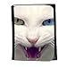 Produktbild Portemonnaie Geldbörse Brieftasche // V00002859 böse Katze // Small Size Wallet