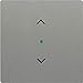 Produktbild Busch-Jaeger Wippe grau/met 6232-10-803 Solo Busch-Free@Home Bussystem-Tastwippe 4011395202739