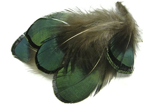 ERGEOB® Grün Kupfer Hühnerfedern Fertigkeit Basteln Feder Fasanenfedern Federhaar 4-8cm/1.5-3 Zoll Länge 100 stuck - 5