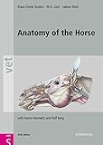 Image de Anatomy of the Horse, Sixth Edition