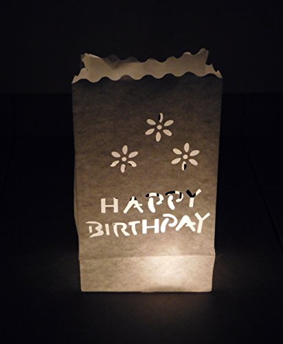 10 Stück Papier Lichttüten Lichtertüten Geburtstag Happy Birthday für