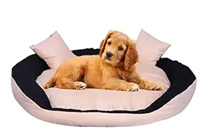 Amit Brothers Ultra Comfort Pet Bed for Dogs/Puppies