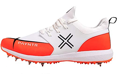 payntr cricket spikes