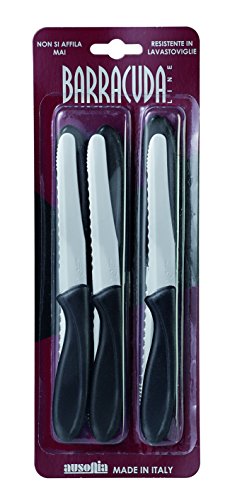 AUSONIA - 61566 CONFEZIONE 6 COLTELLI DA TAVOLA CM 11 CON LAMA IN ACCIAIO INOX E MANICO IN PLASTICA