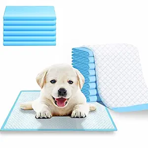 Aksh Disposable Pet Training Pads 60x40 cms Small Puppy Pee and Potty Pads with Quick Drying Surface & Absorbent Core, Suitable for Small/Medium/ Breed Pets, Dogs, Cats - Pack of 1, 10 pcs