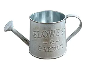 Desi Rang Vintage Metal Iron Flower vase Pot Planter Stand for Succulent Plant in Garden Home d