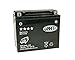 Produktbild Batterie JMT GEL - YTX20L-BS 12 Volt - BUELL X1 Lightning 1200 99-02 [inkl. 7,50 € Batteriepfand]