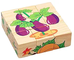 Tickles Animal, Inscects and Birds 9 Pieces 6 Pattern in one Box Block Puzzle Toy for 2 yrs Plus Kids Any One