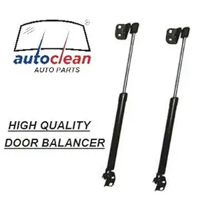 AutoClean Dicky Shocker For Terrano (set of 2)