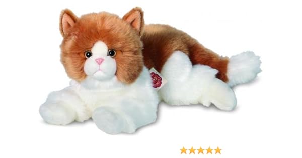cat teddy