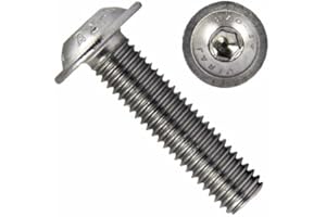 NIMA PARTS Lot de 25 vis à tête bombée avec bride et six pans creux – Vis à tête plate galvanisées et inoxydables (M5 x 20)