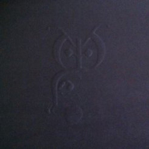 Night Stays [Vinilo]