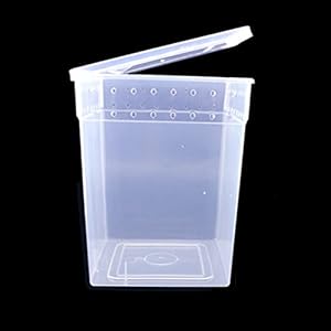 Zhuhaitf PP High Transparency Ventilation School office Research Reptile Box Mouse Bird Spider Scorpion Gecko Insect Snake Tortoise GiftReptilienbox