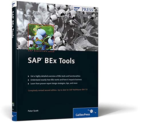 SAP BEx Tools: SAP NetWeaver BI 7.0 (SAP PRESS: englisch)