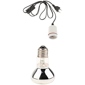 Baoblaze 50W Hitze Basking Glühbirne mit E27 Steckdose Aquarium Beleuchtung Zubehöre