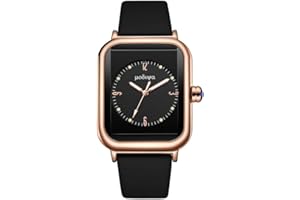 Basfur Dress Watch Fe-Montre-069-03