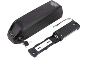 HANERIDE Batterie de Vélo électrique Hailong 48V 16Ah 768Wh Pedelec E-Bike Batterie au Lithium de Vélo électrique pour VAUN MiFa Prophete Phylion avec Chargeur