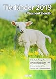 Wochenkalender Tierkinder 2019 by 