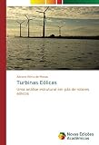  Turbinas Eólicas: Uma análise estrutural em pás de rotores eólicos