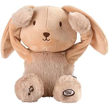 nounours cache coucou